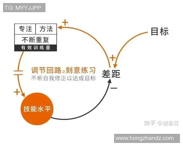 科学攀岩技术训练方法探讨与实践提升技巧的全面指南