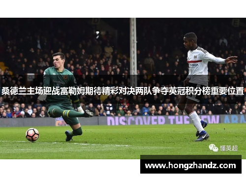桑德兰主场迎战富勒姆期待精彩对决两队争夺英冠积分榜重要位置